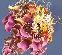 Envio y venta de flores ,rosas, plantas,arreglos florales ,regalos y desayunos a domicilio con delivery gratis en la Ciudad Autonoma de Buenos Aires y con costo de env�o en localidades del Gran Buenos Aires asi como delivery de flores y plantas a trav�s de florerias asociadas en todas las provincias de la Argentina, Buenos Aires, la Pampa, Tucuman, La Rioja, R�o Negro, Entre Rios, Corrientes, Misiones, Neuquen, Chubut, Tierra del Fuego, Santa Cruz, San Luis, Mendoza, Cordoba, Jujuy, Formosa, Santiago del Estero, Salta, Chaco, Catamarca ,San Juan, y ademas realizamos el delivery de flores ,coronas,palmas , plantas y regalos a todas las ciudades de Argentina, Mar del Plata, C�rdoba, Buenos Aires, con cargo en Santa Rosa, La Plata, Bella Vista, Neuquen, Pilar, Paran�, Posadas, Resistencia, Cipolleti y mas de 300 ciudades y localidades en todo el territorio de nuestro pa�s, asi como tambien tenemos la posibilidad de enviar flores a casi todo el mundo en cuestion de horas